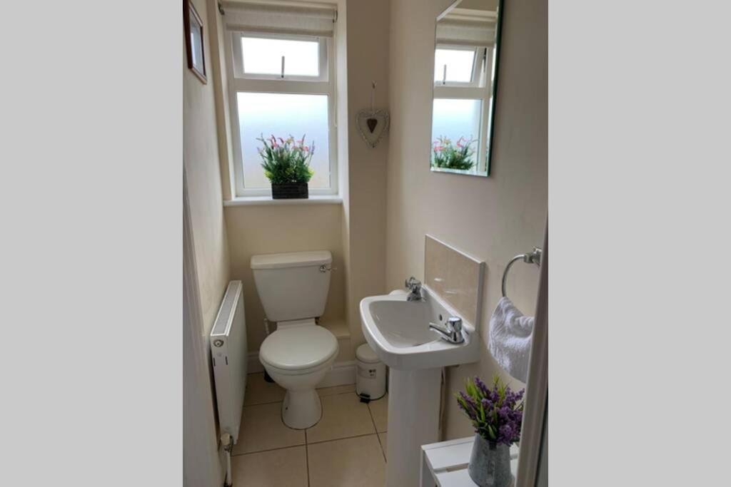 Two Bedroom Town House Beside The River Barrow คาร์โลว์ ภายนอก รูปภาพ