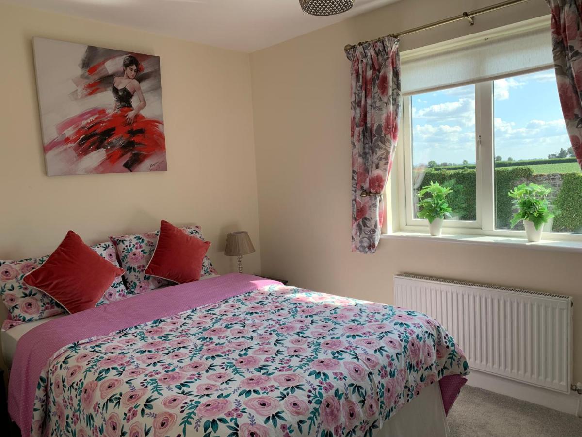 Two Bedroom Town House Beside The River Barrow คาร์โลว์ ภายนอก รูปภาพ