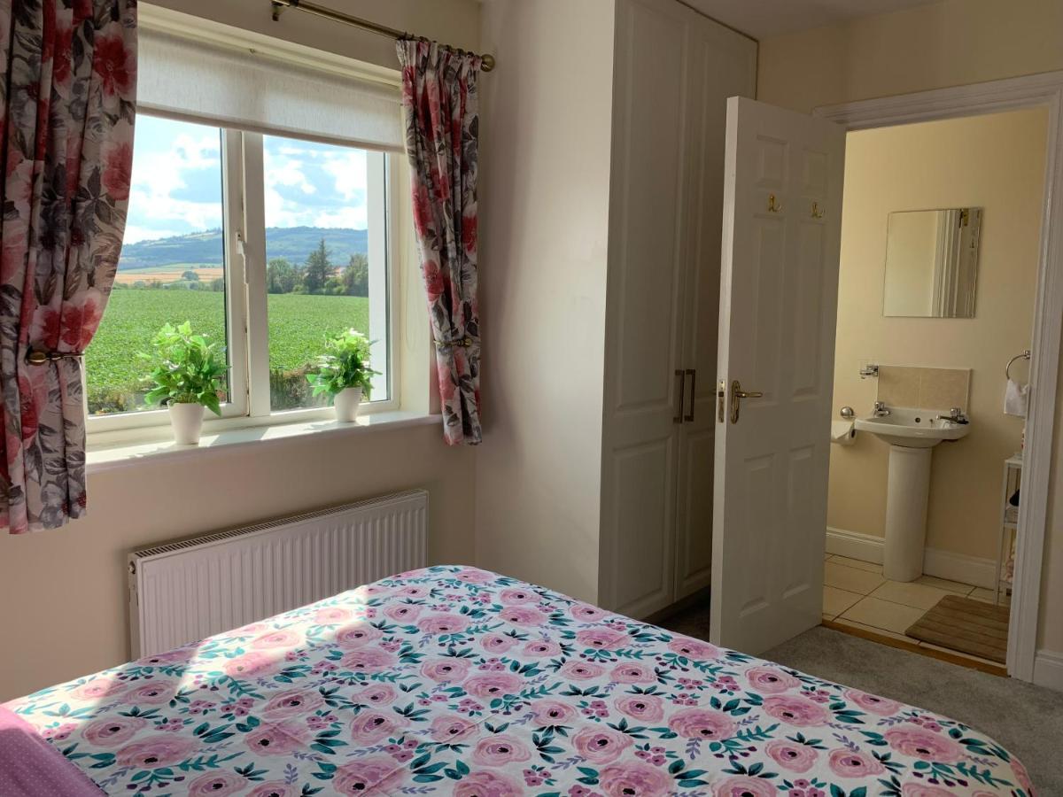 Two Bedroom Town House Beside The River Barrow คาร์โลว์ ภายนอก รูปภาพ