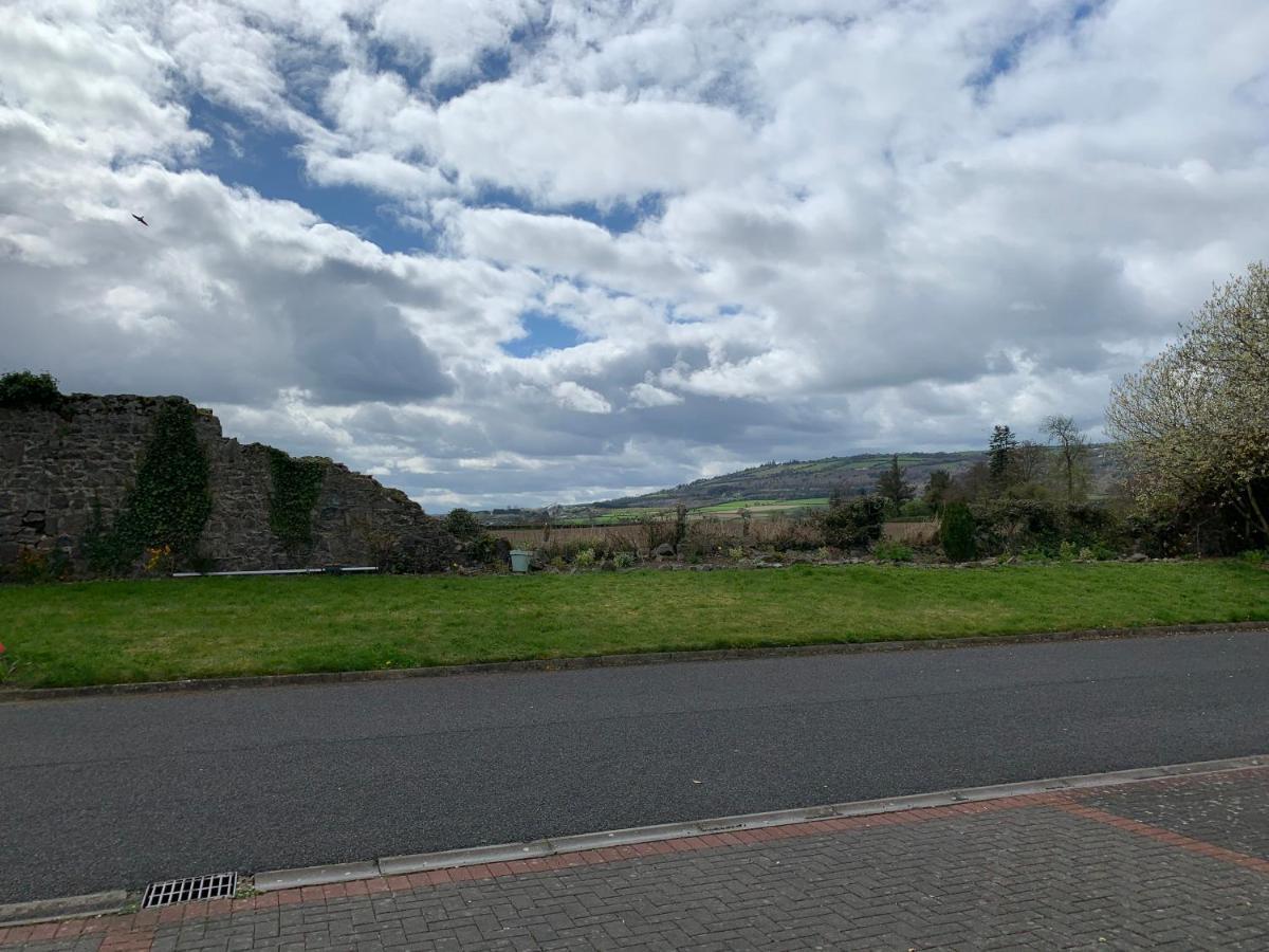 Two Bedroom Town House Beside The River Barrow คาร์โลว์ ภายนอก รูปภาพ